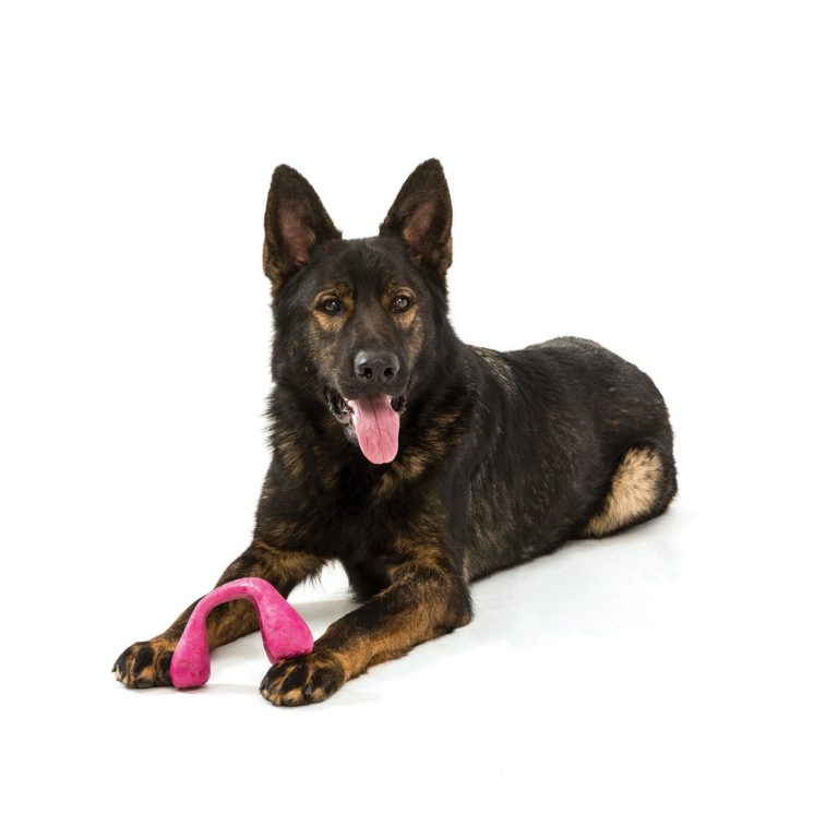 West Paw Wox Dog Toy