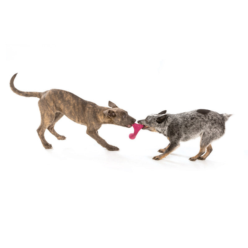 West Paw Wox Dog Toy