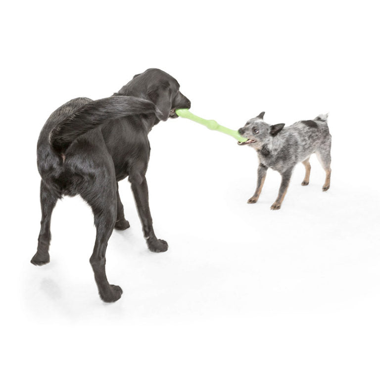 West Paw Zwig Dog Toy