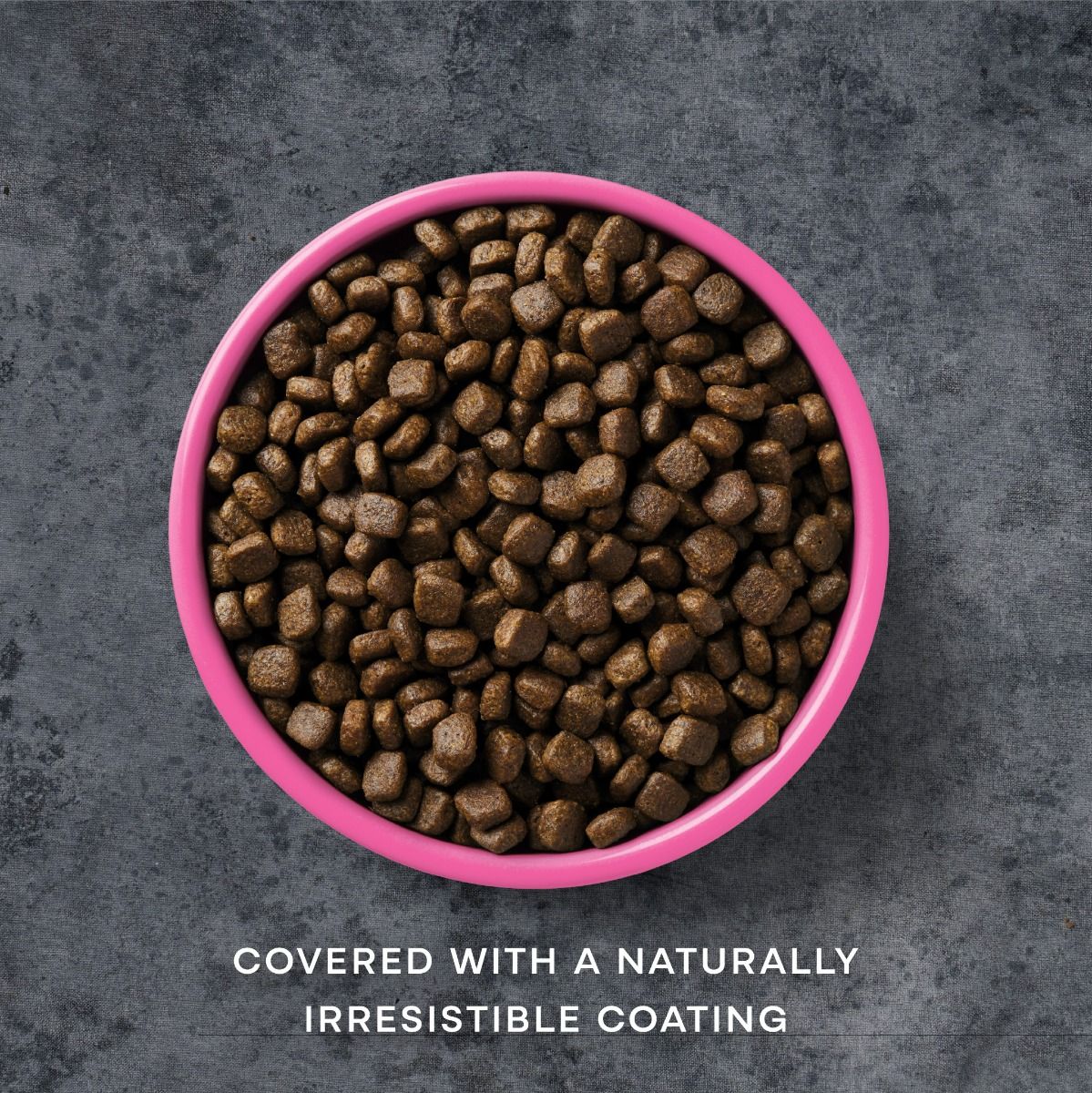 AATU For Puppies Salmon Dry Puppy Food