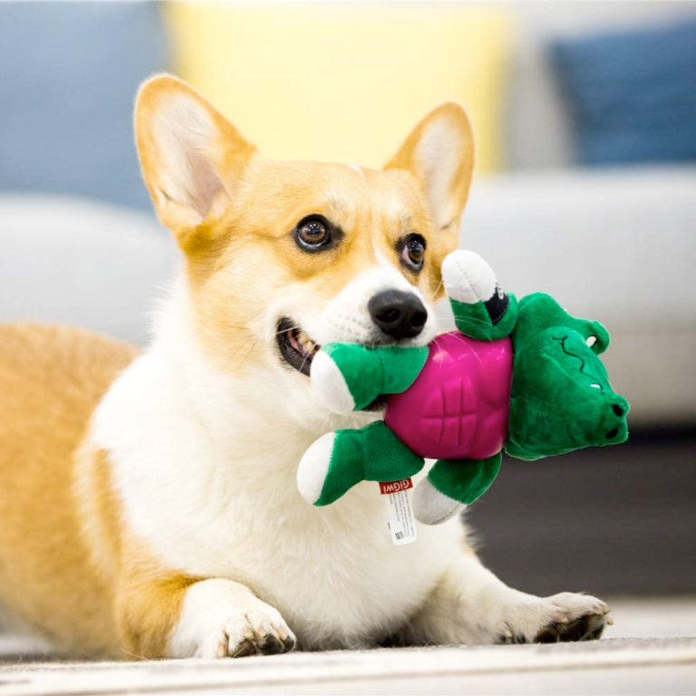 GiGwi Im Hero Armor Alligator TPR / Plush with Squeaker Dog Toy