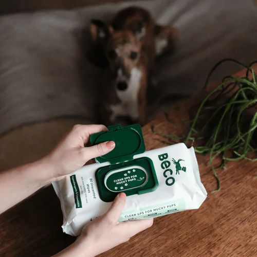 Beco Bamboo Unscented Dog Wipes