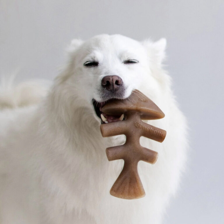 Benebone Fishbone Dog Toy