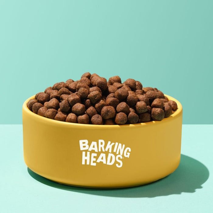Barking Heads Tummy Loving Care Fish Dry Dog Food