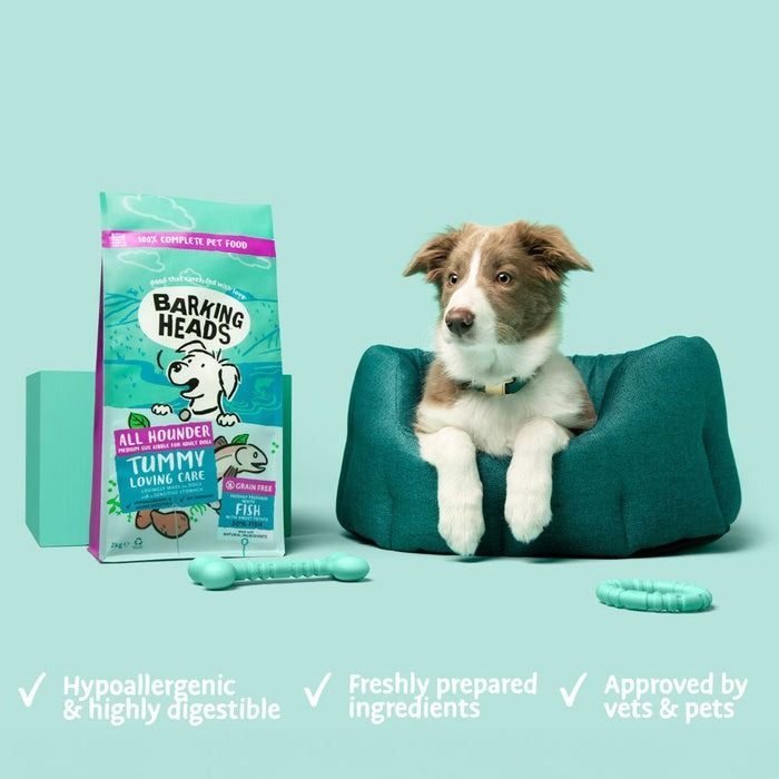Barking Heads Tummy Loving Care Fish Dry Dog Food