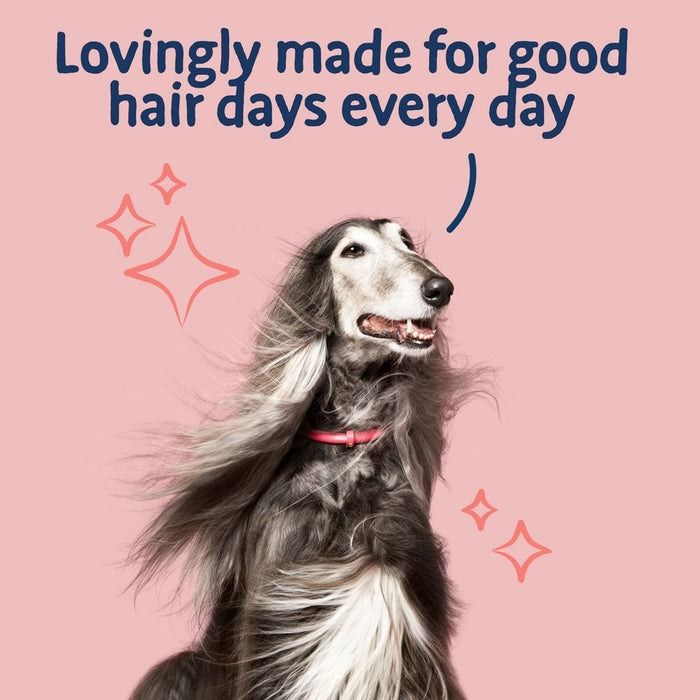 Barking Heads All Hounder Hair Necessities Salmon Dry Dog Food