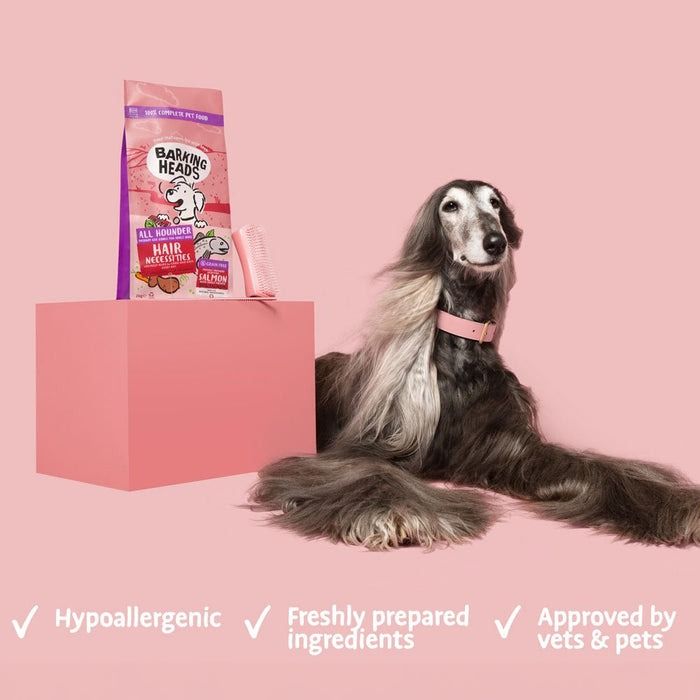 Barking Heads All Hounder Hair Necessities Salmon Dry Dog Food