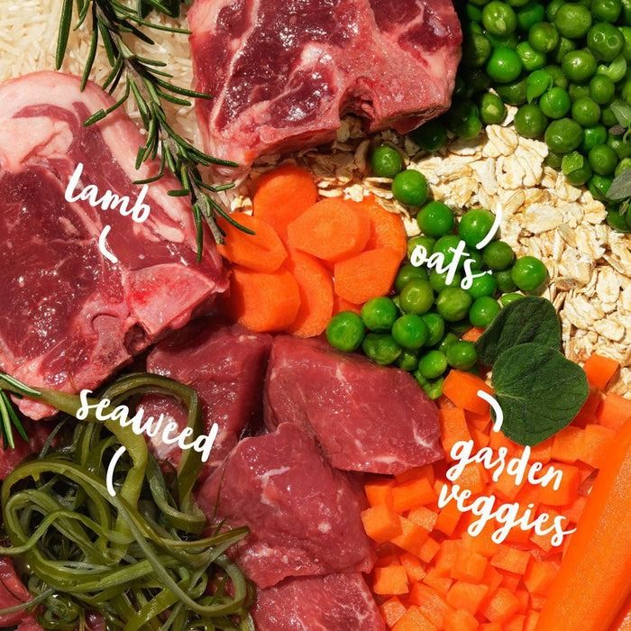 Barking Heads All Hounder Bowl Licken Goodness Lamb Dry Dog Food