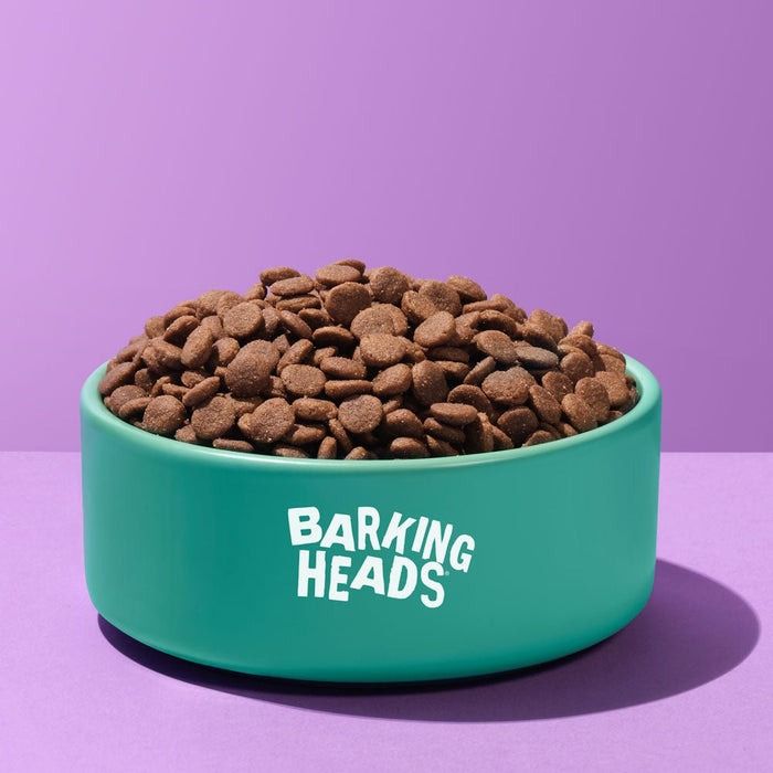 Barking Heads All Hounder Fat Dog Slim Chicken Dry Dog Food
