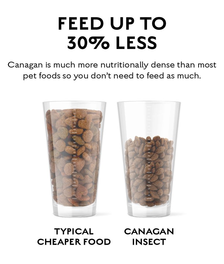 Canagan Insect Protein Dry Dog Food