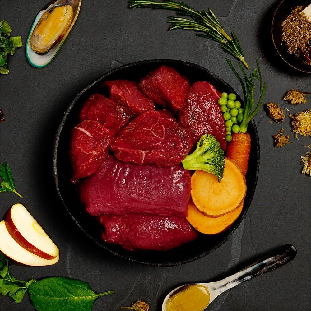 Canagan Venison & Wild Boar Stew Wet Dog Food 400g