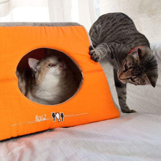 Rogz Igloo Birds On Wire Cat Bed