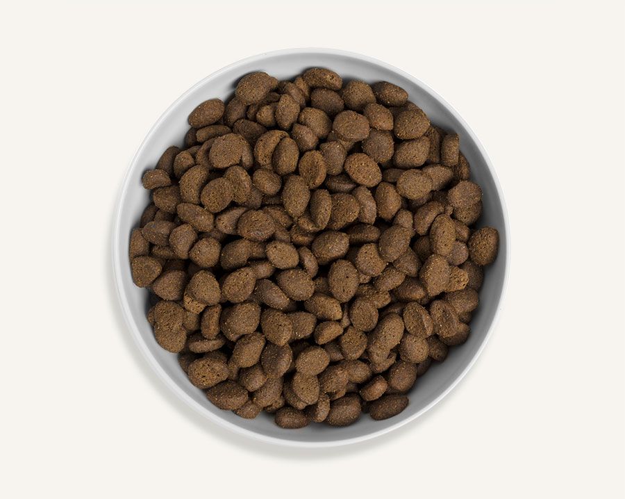Canagan Country Game Dry Dog Food