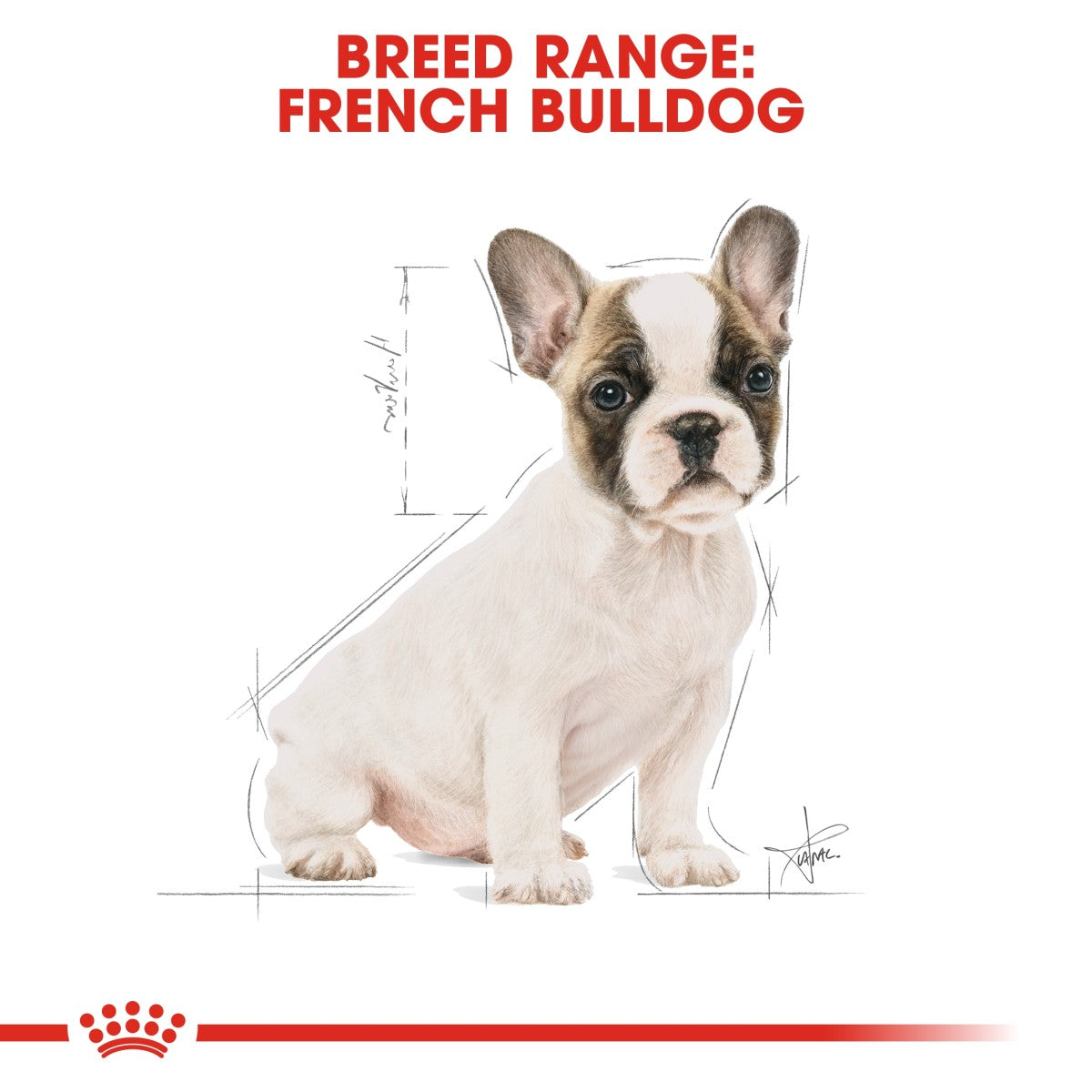 Royal Canin Breed Health Nutrition French Bulldog Puppy 3 kg