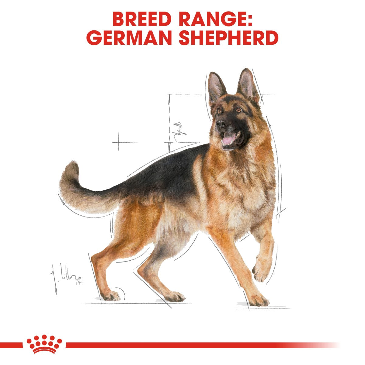 Royal Canin Breed Health Nutrition German Shepherd Adult 3 kg