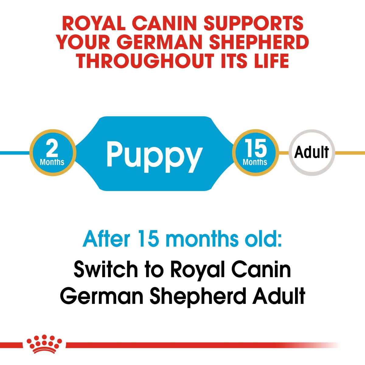 Royal Canin Breed Health Nutrition German Shepherd Puppy 12 kg