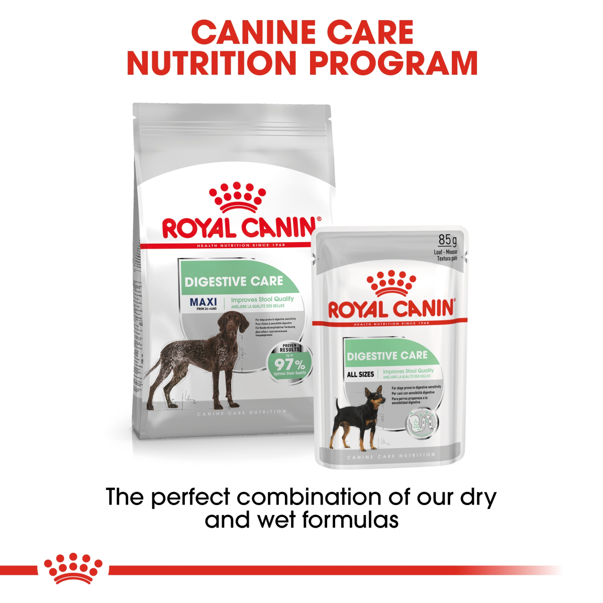 Royal Canin Canine Care Nutrition Maxi Digestive Care 12 kg