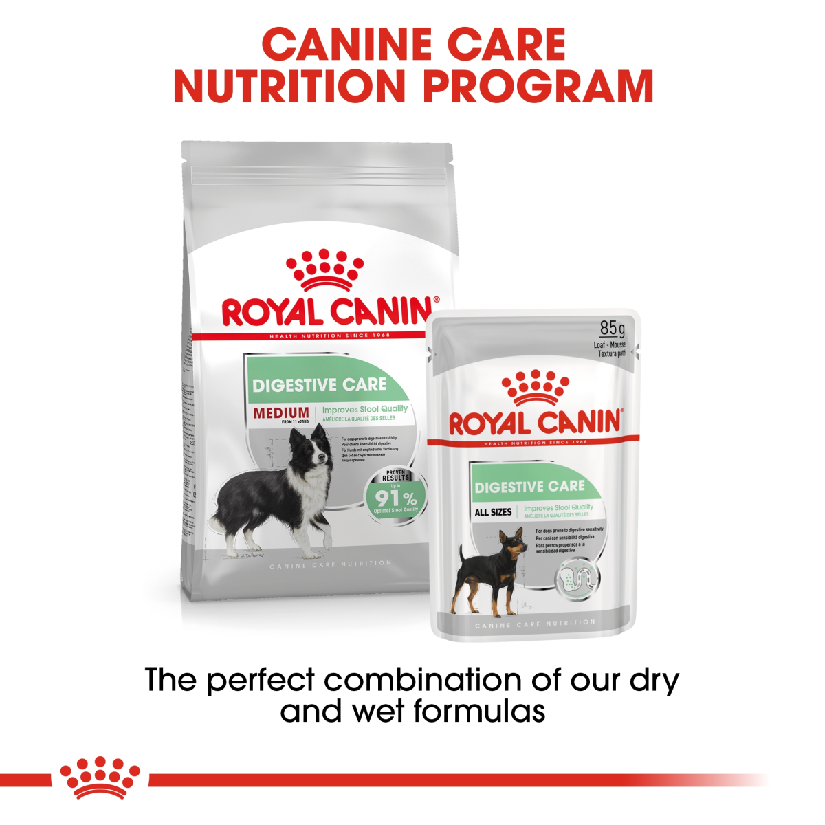Royal Canin Canine Care Nutrition Medium Digestive Care 12 kg