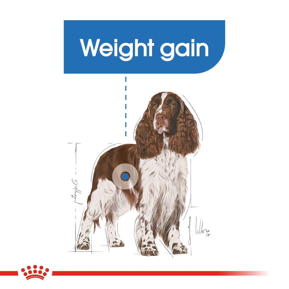 Royal Canin Canine Care Nutrition Medium Light Weight Care 3 kg