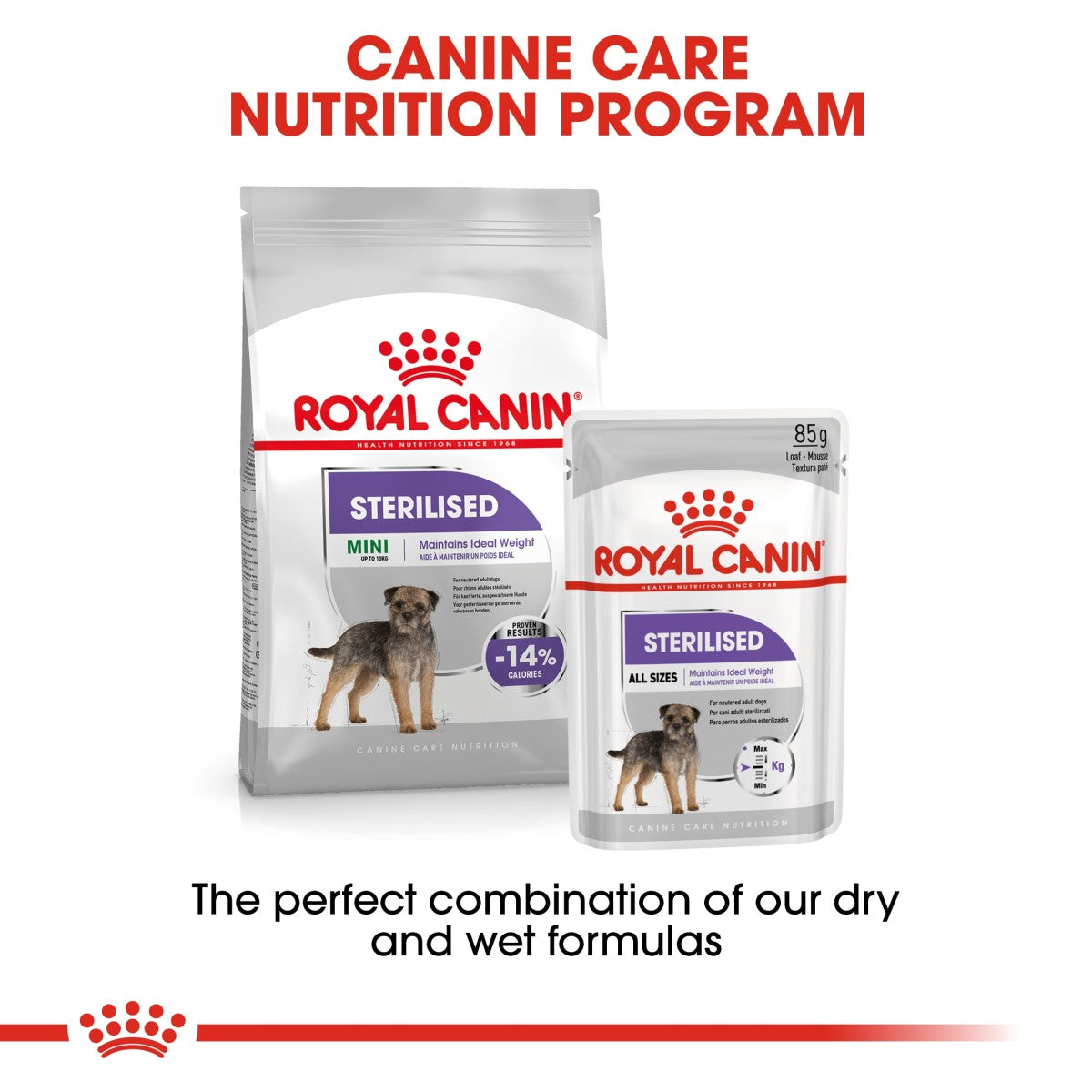 Royal Canin Canine Care Nutrition Mini Sterilized Adult 3 kg