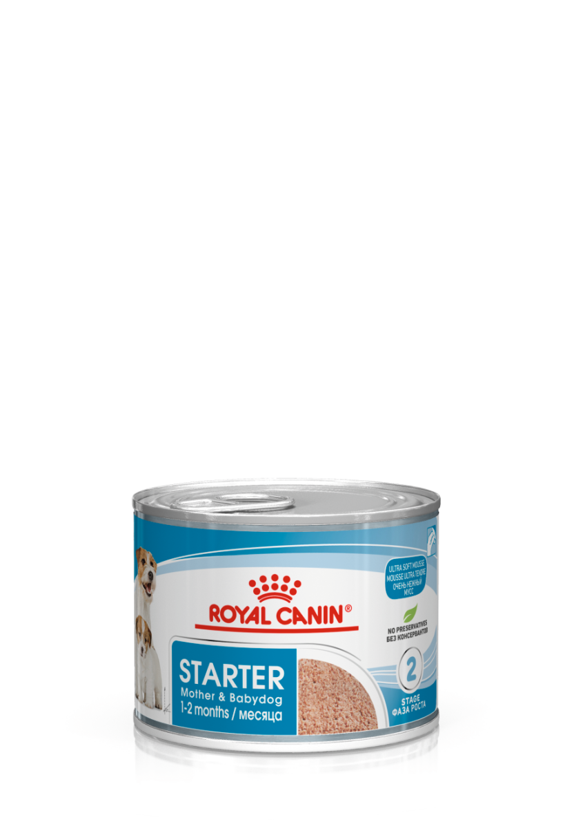 Royal Canin Canine Health Nutrition Starter Mousse (Wet Food - Cans) 12 x 195 g