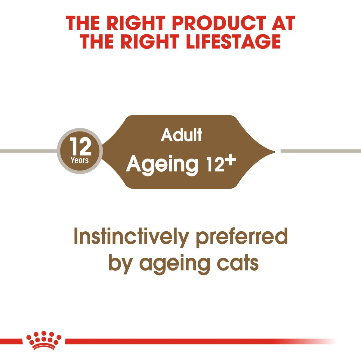 Royal Canin Feline Health Nutrition Ageing 12+ Jelly (Wet Food - Pouches) 12 x 85 g