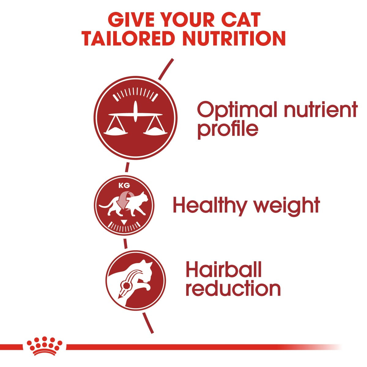 Royal Canin Feline Health Nutrition Fit 32 - 400 g