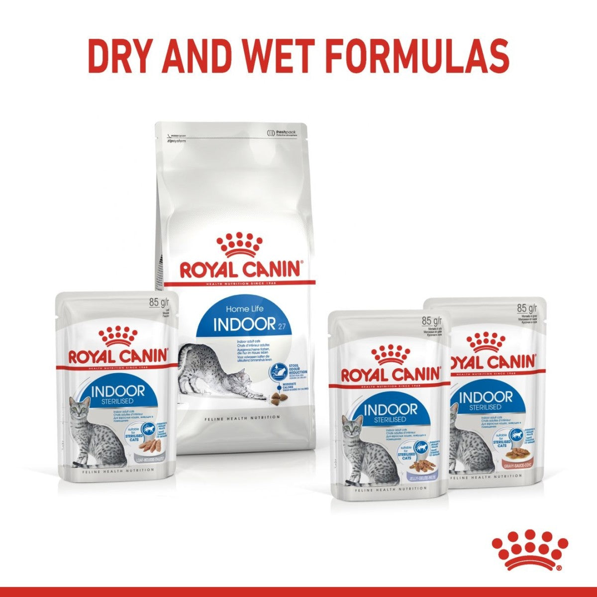 Royal Canin Feline Health Nutrition Indoor Jelly (Wet Food - Pouches) 12 x 85 g