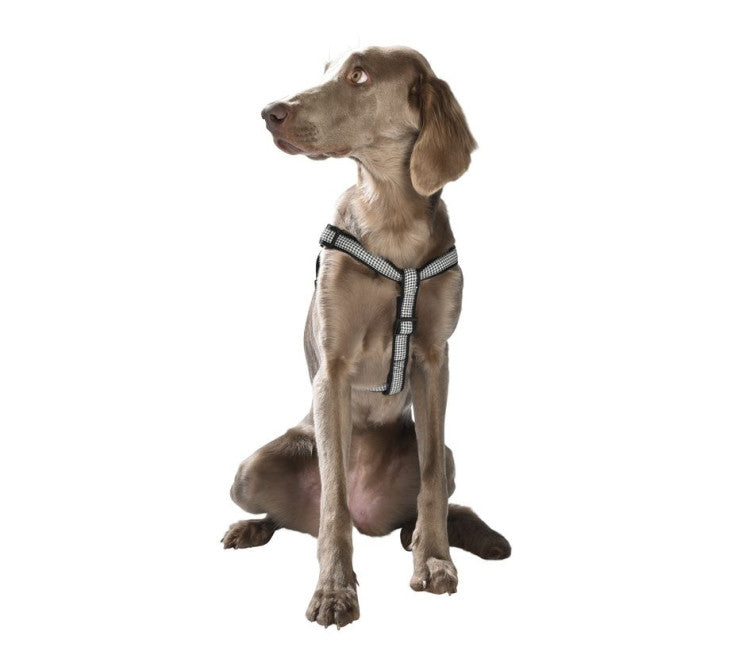 Bobby Classique Chic Harness Black, Medium