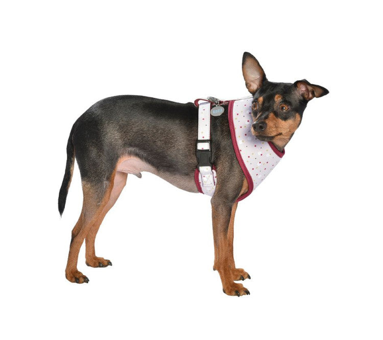 Bobby Dots T-Shirt Harness Beige, Medium