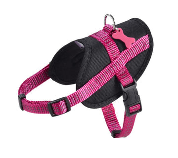 Bobby Easy Safe Harness Fuschia, 2XSmall