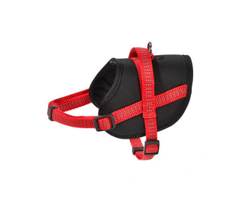 Bobby Easy Safe Harness Red, 2XSmall