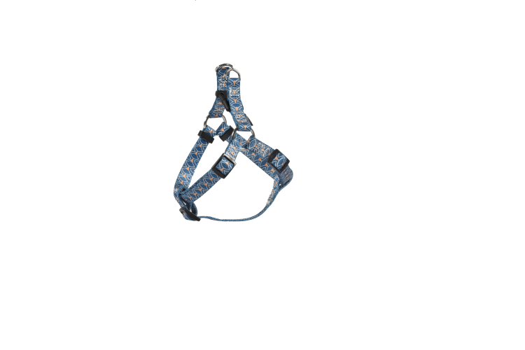 Bobby Geisha Baudrier Harness Blue, Small