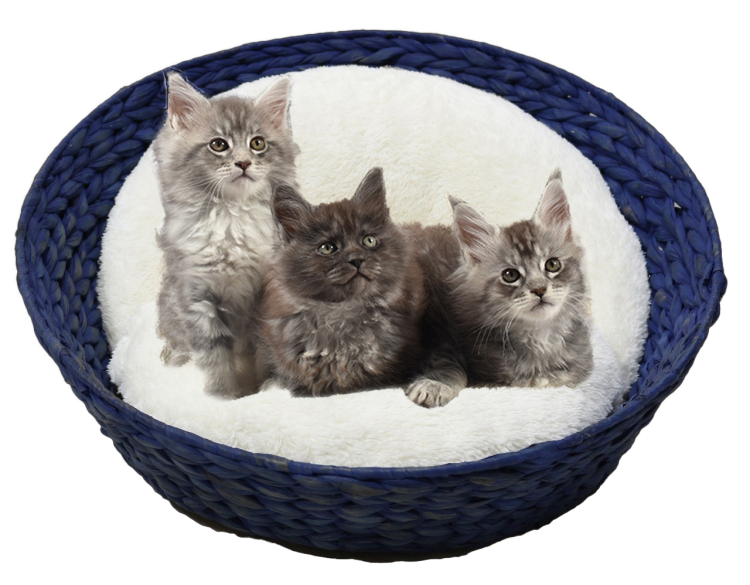 Bobby Green Basket Blue 90 cm
