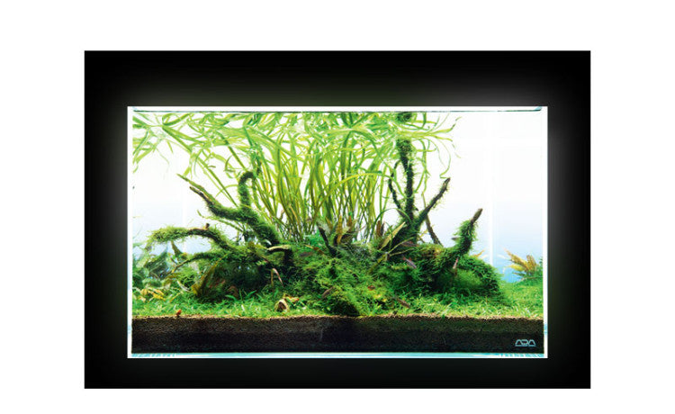 ADA Light Screen 90 Type A plug