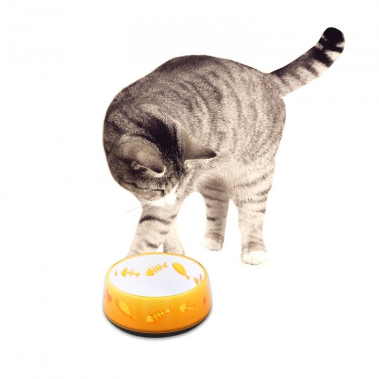 afp Cat Love Bowl Orange
