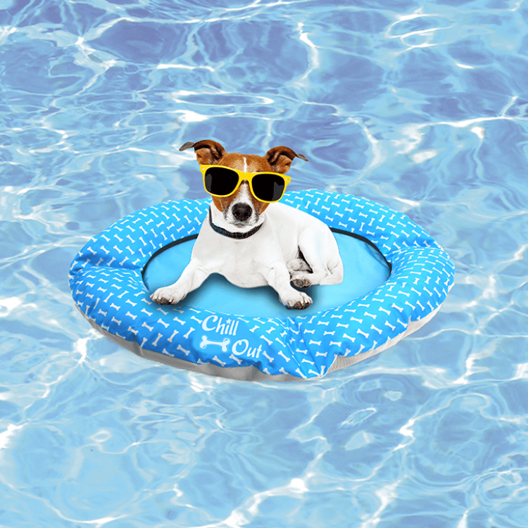 afp Chill Out Floating Bed