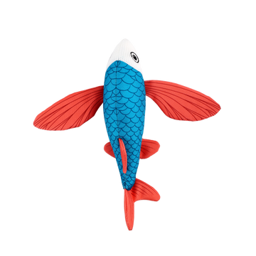 afp Chill Out Flying Fish