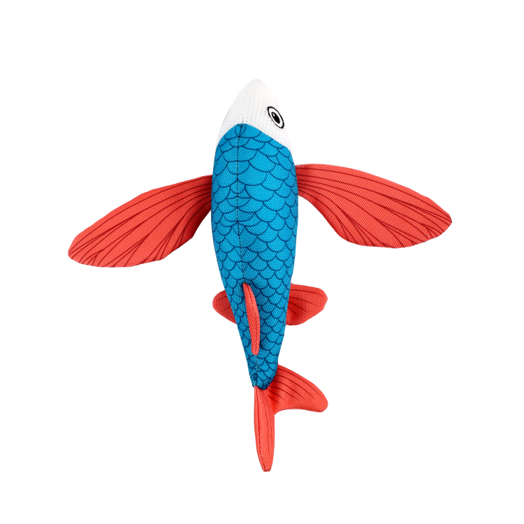 afp Chill Out Flying Fish
