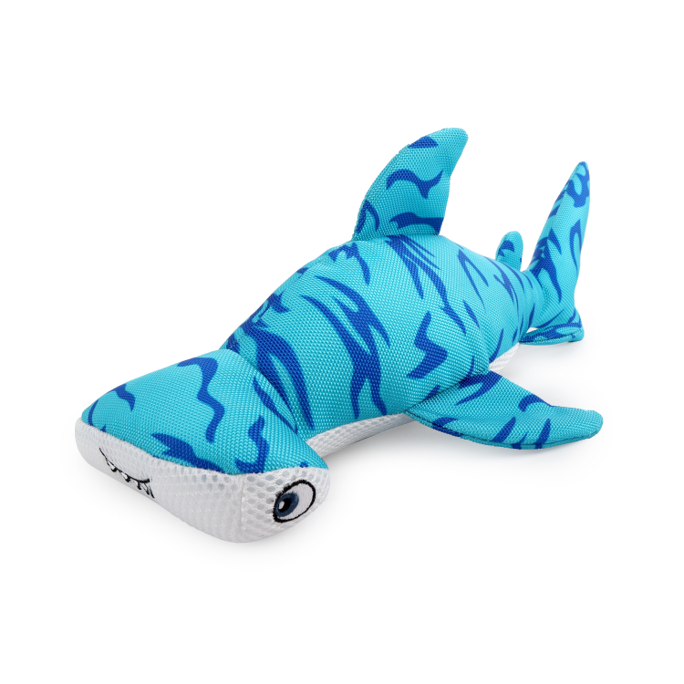 afp Chill Out Hammerhead Shark