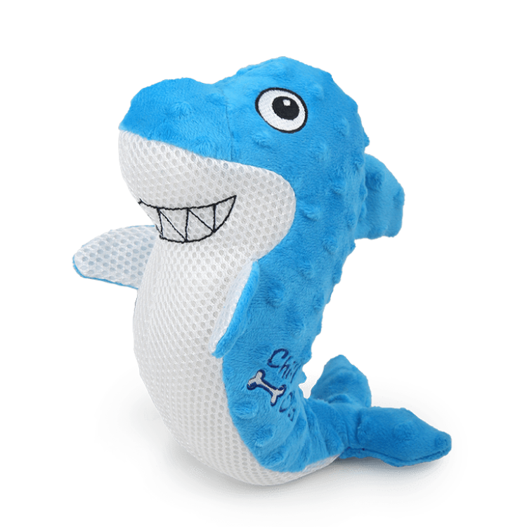 afp Chill Out Shark