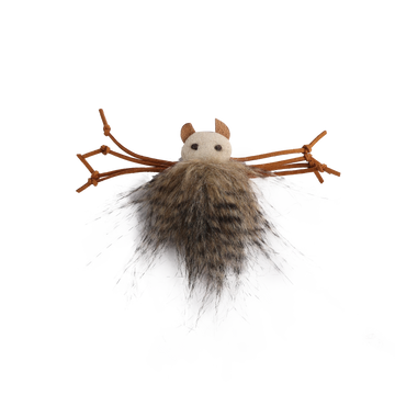afp Classic Comfort Silly Spider