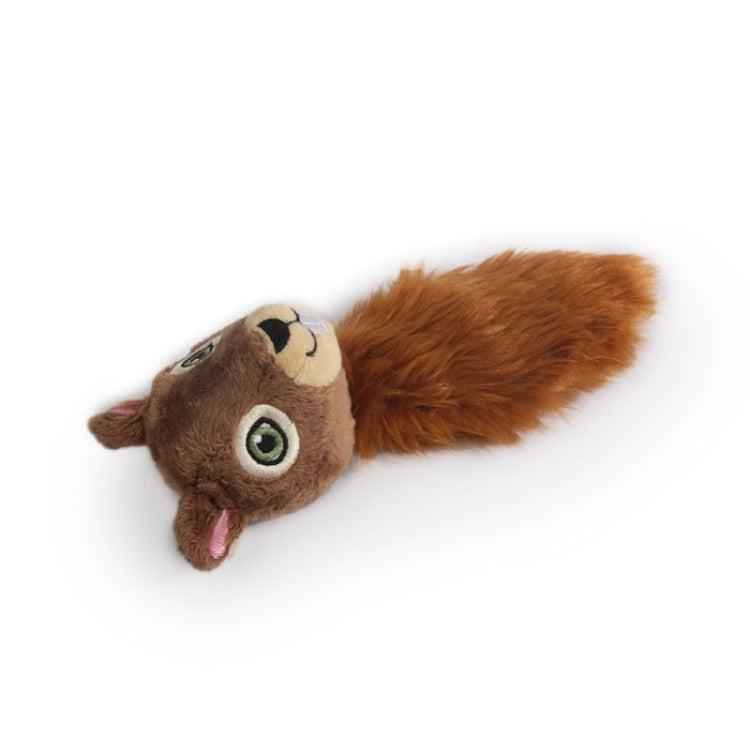 afp Dig It Tree Friend Squirrel