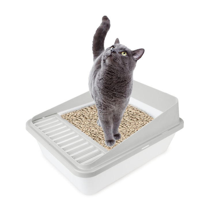 afp Go Fresh High Back Cat Litter Box Large Sand