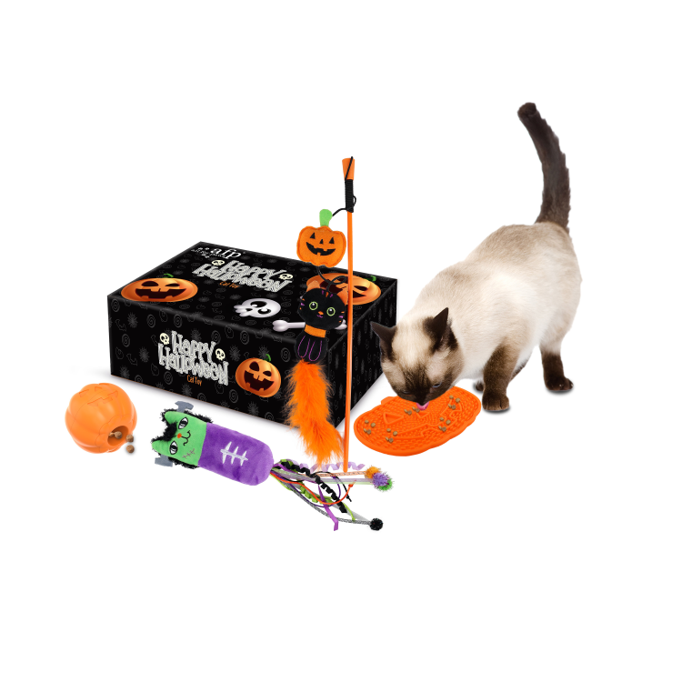 afp Halloween Cat Gift Set