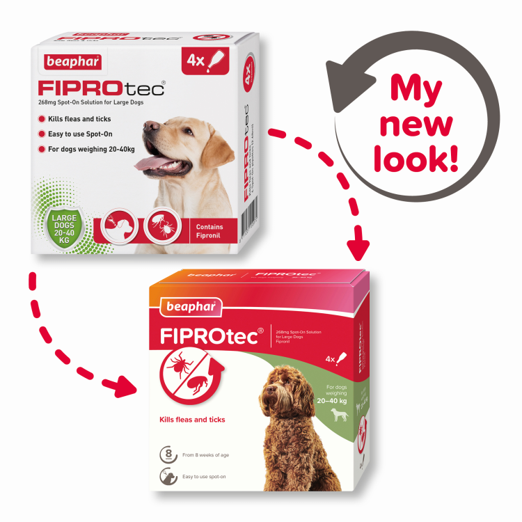 Fiprotec for Large Dog, 4 Pipettes