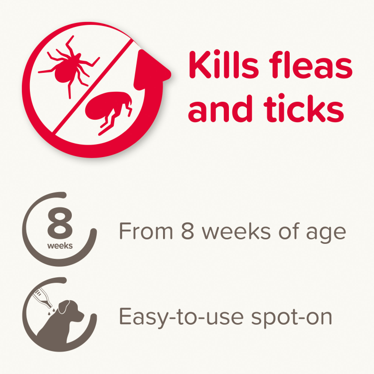 Fiprotec for Small Dog, 4 Pipettes