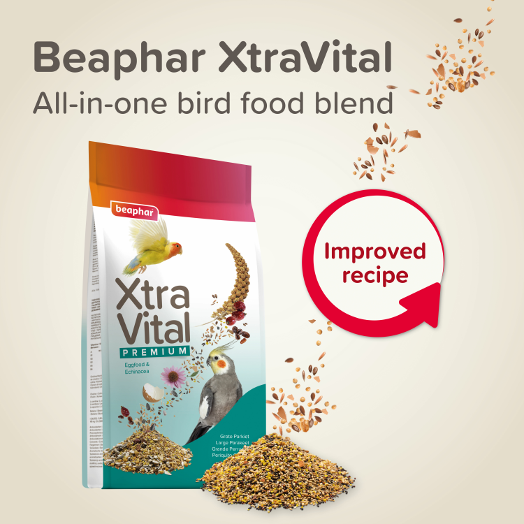 XtraVital Large Parakeet 1 kg