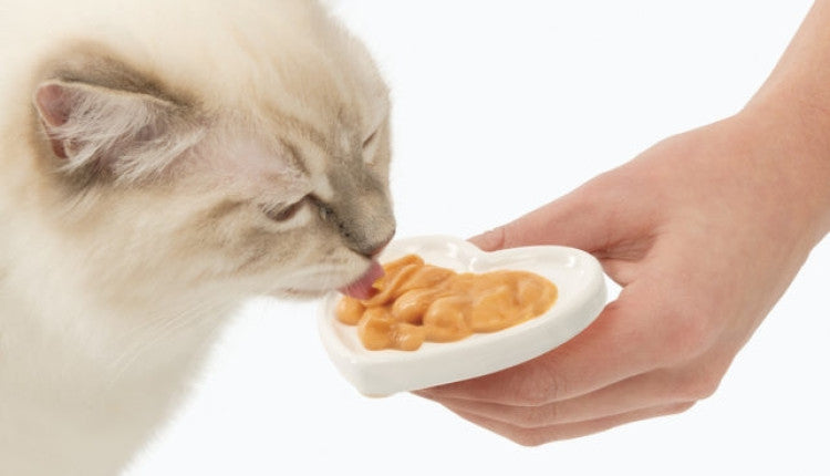 Catit Creamy Lickable Treats,Salmon & Prawns, 12pk/box