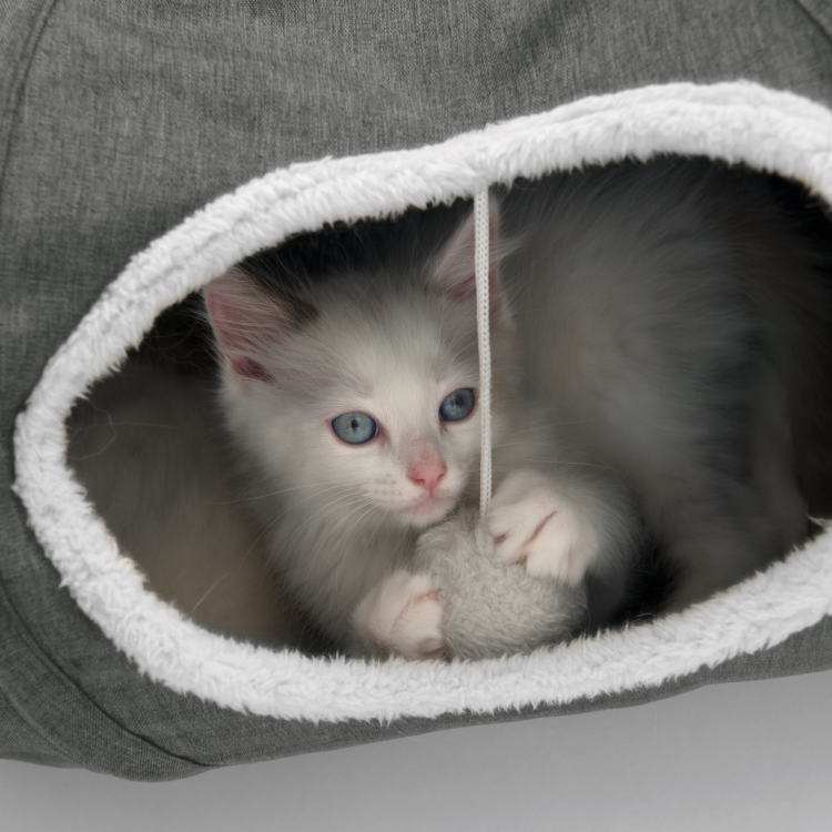 Catit Vesper Tunnel Grey
